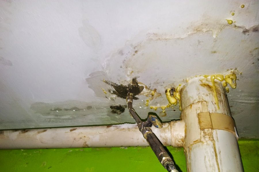 PU Injection Singapore