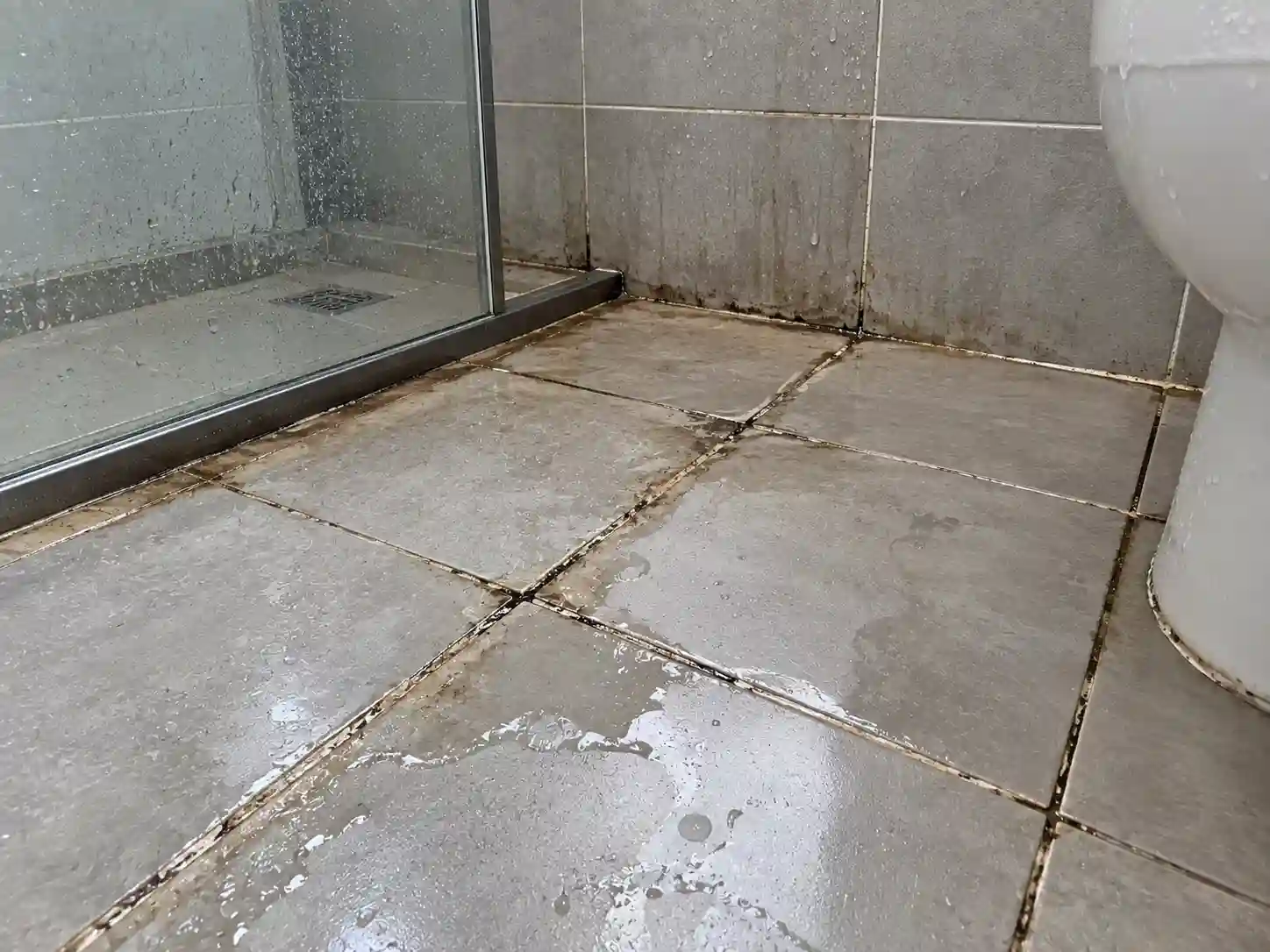 Bathroom floor tile grout seepage before waterproofing