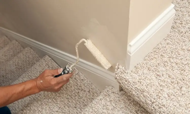 Touch-Up and Spot Repainting